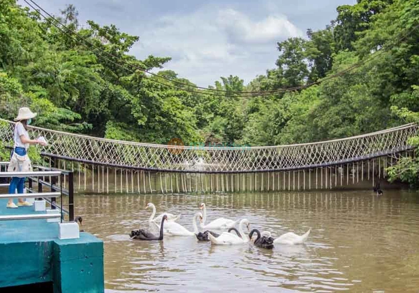 Safari World Bangkok - Image 7 of 7