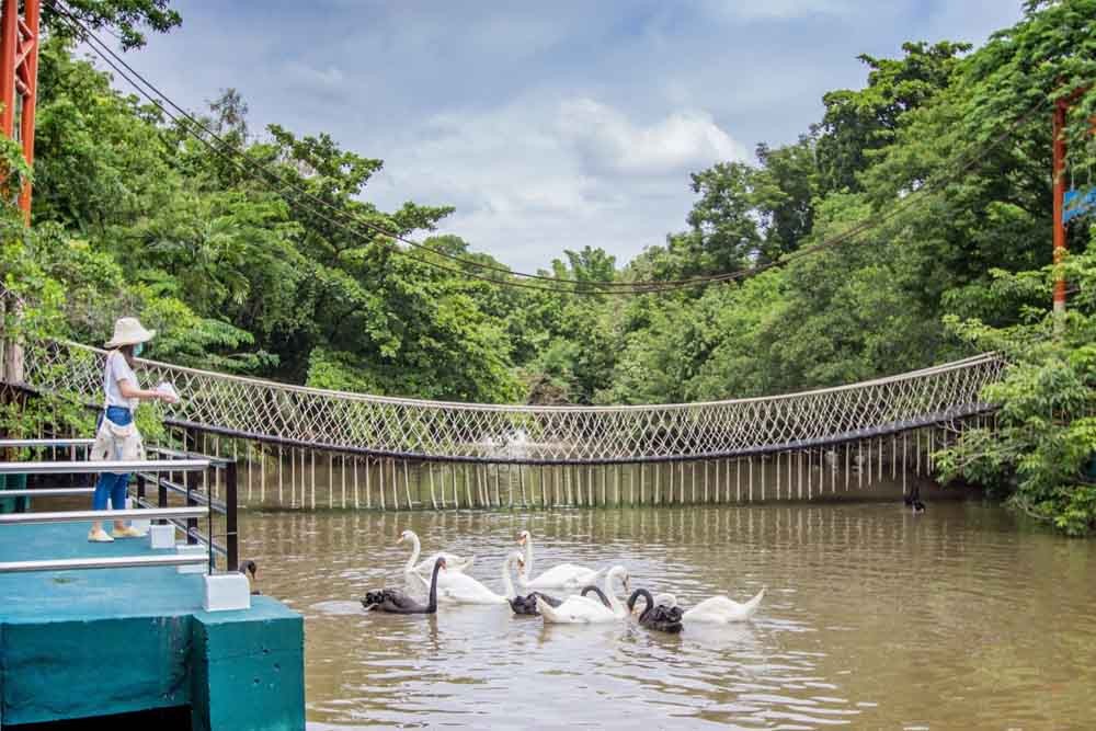 Safari World Bangkok - Image 7 of 7