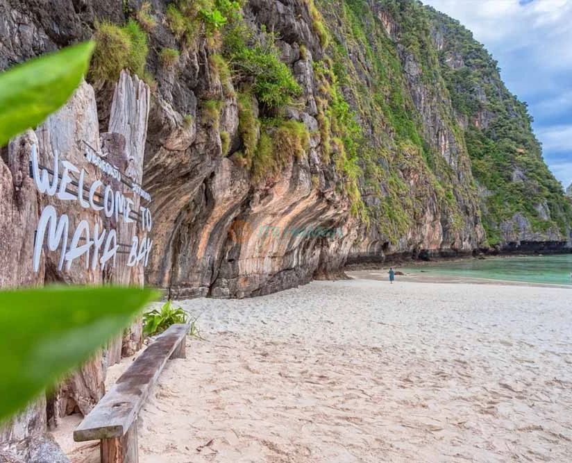 プーケット発 ピピ島、カイ島、マヤベイ、ピーレーラグーンツアー - 画像 2 の 5
