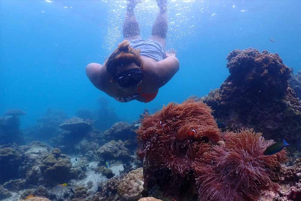 Phi Phi Island, Khai Island, Maya Bay, And Pileh Lagoon Tour From Phuket - Image 7 of 14