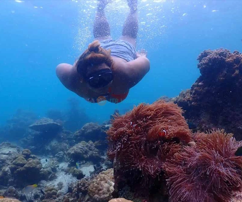 Phi Phi Island, Khai Island, Maya Bay & Pileh Lagoon Tour from Phuket - JTR Holidays - Image 7 of 14