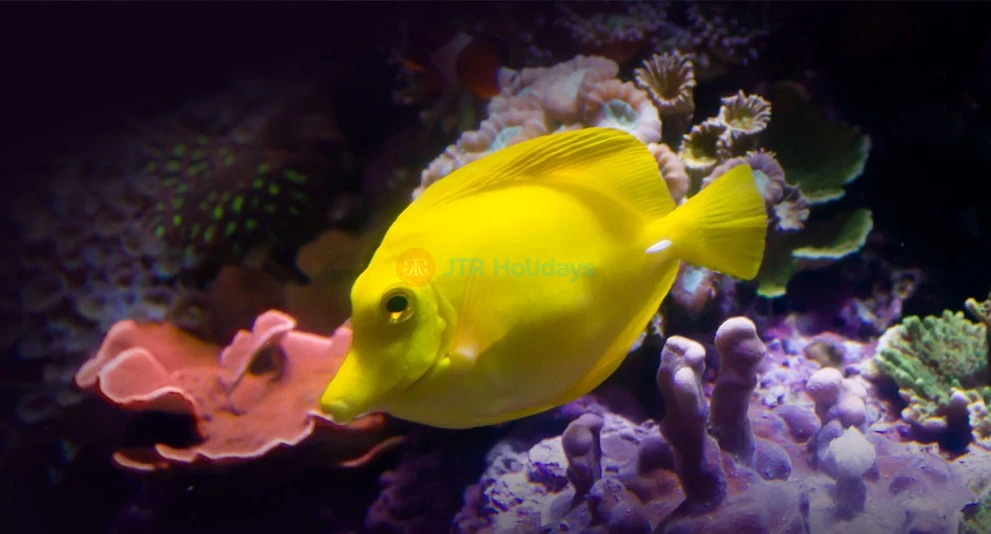 Acuario De La Bahía - San Francisco - Image 1 of 8