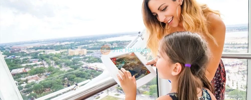 The Wheel At ICON Park - Orlando - Image 4 of 7