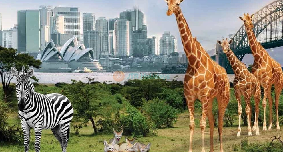 Taronga Zoo Sydney Ticket - Image 1 of 5