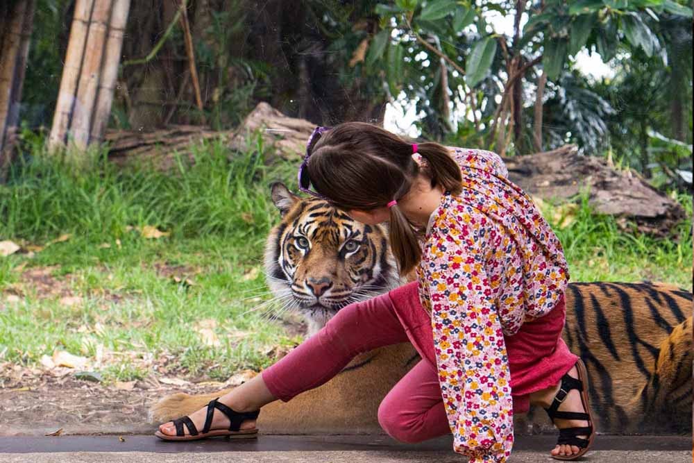 تذكرة حديقة حيوان تارونغا سيدني - صورة 4 من 5