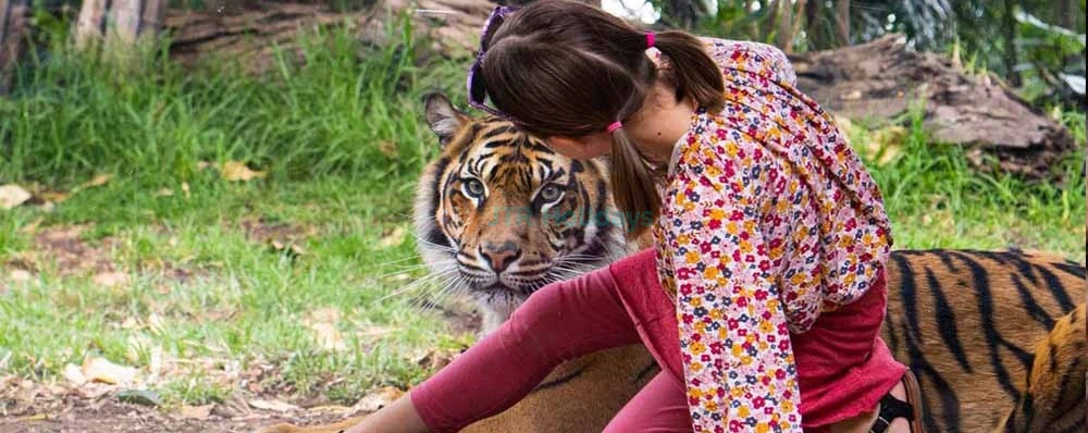 Taronga Zoo Sydney Ticket - Image 4 of 5