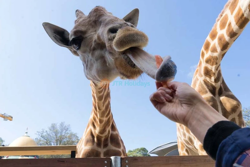 Taronga Zoo Sydney Ticket - Image 6 of 7