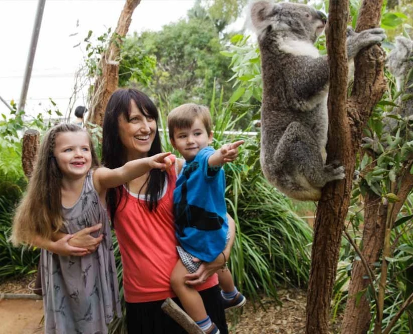 WILD LIFE Sydney Zoo Tickets & Offer - Darling Harbour - Exclusive Offer - JTR Holidays - Image 2 of 5
