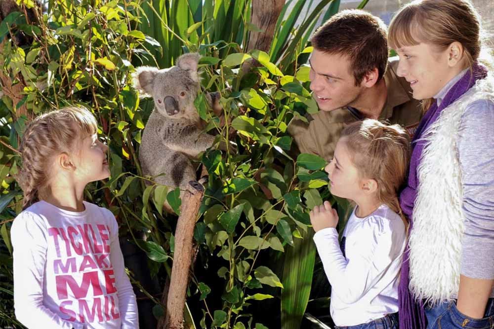 WILD LIFE Sydney Zoo - Image 6 of 9