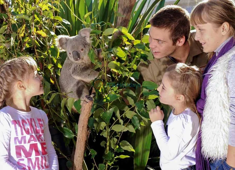 WILD LIFE Sydney Zoo Tickets & Offer - Darling Harbour - Exclusive Offer - JTR Holidays - Image 6 of 9