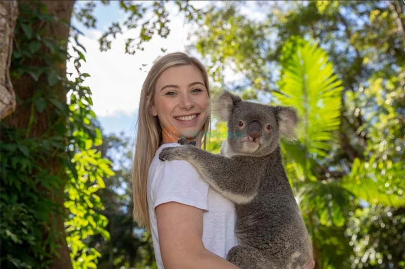 Currumbin Wildlife Sanctuary Australia