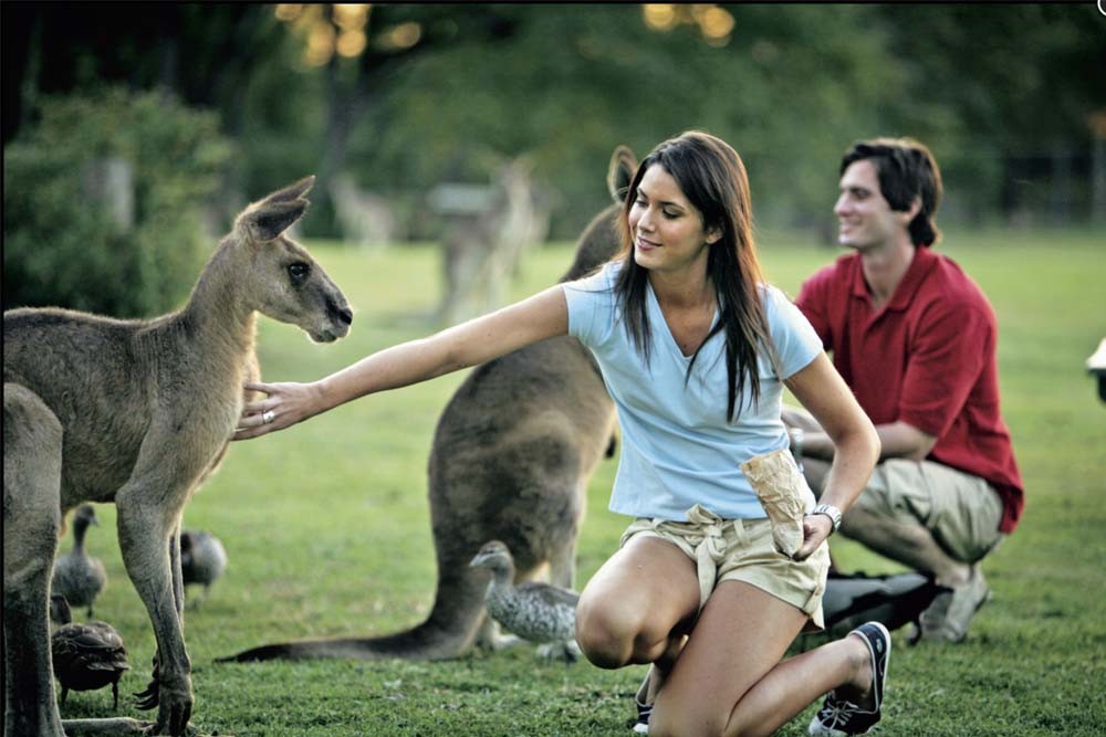 Currumbin Wildlife Sanctuary Australia - Image 1 of 9