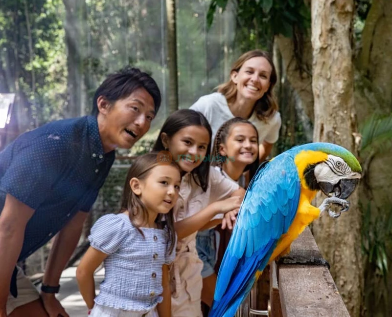 Currumbin Wildlife Sanctuary Tickets Australia - Buy Online Offer - JTR Holidays - Image 2 of 5