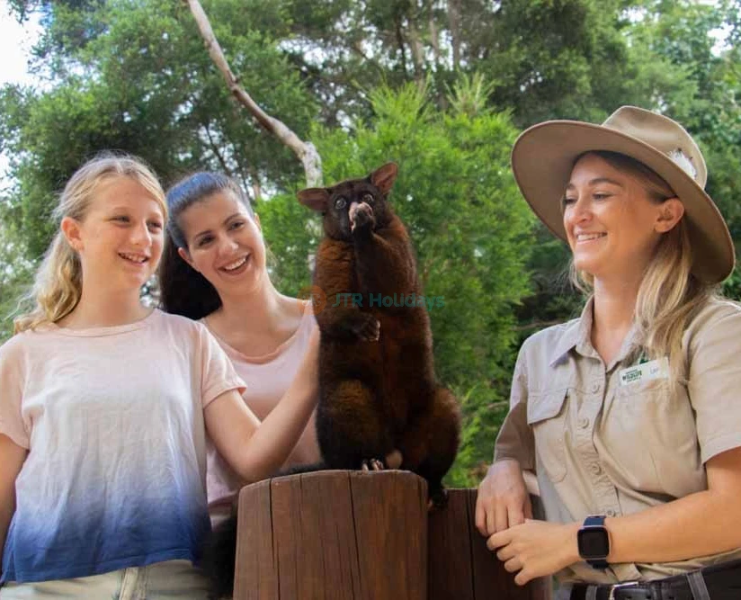 Currumbin Wildlife Sanctuary Tickets Australia - Buy Online Offer - JTR Holidays - Image 5 of 5