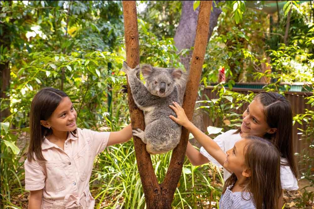 Currumbin Wildlife Sanctuary Australia - Image 6 of 9