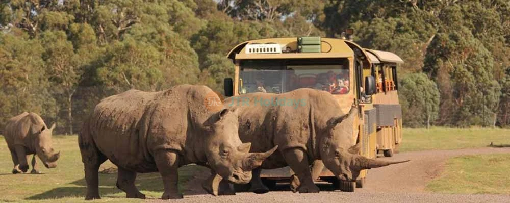 Ballarat Wildlife Park Tickets - Book Online - Melbourne Victoria - JTR Holidays - Image 4 of 5