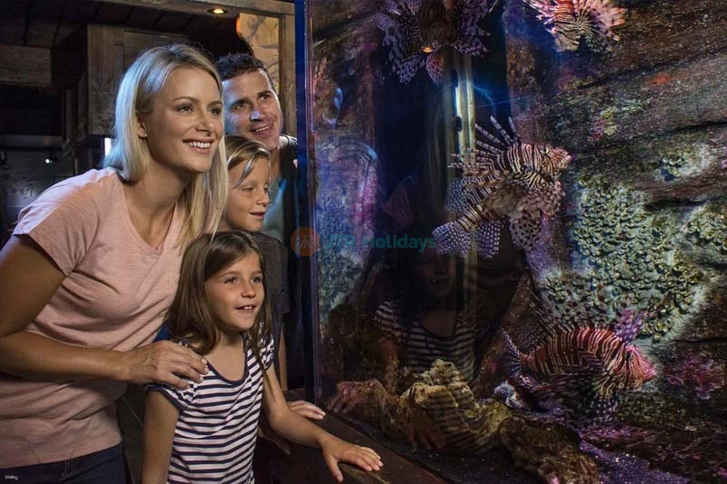 SEA LIFE Sunshine Coast Aquarium