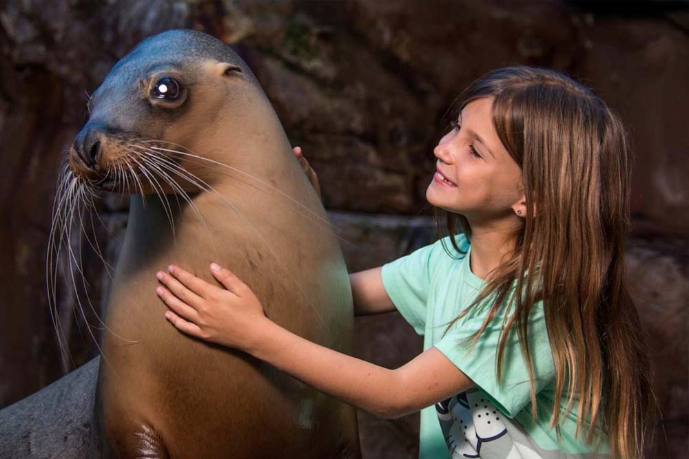SEA LIFE Sunshine Coast Aquarium - Image 2 of 5