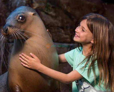 SEA LIFE Sunshine Coast Aquarium - Image 2 of 5