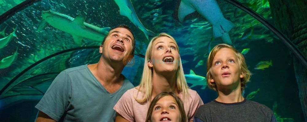 SEA LIFE Sunshine Coast Aquarium - Image 3 of 5