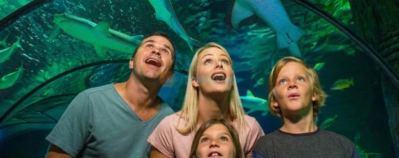 SEA LIFE Sunshine Coast Aquarium - Image 3 of 5