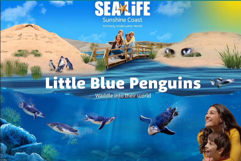 SEA LIFE Sunshine Coast Aquarium E-Tickets - Offer and Deals - JTR Holidays