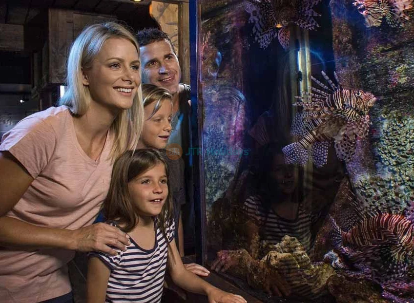 SEA LIFE Sunshine Coast Aquarium - Image 7 of 10