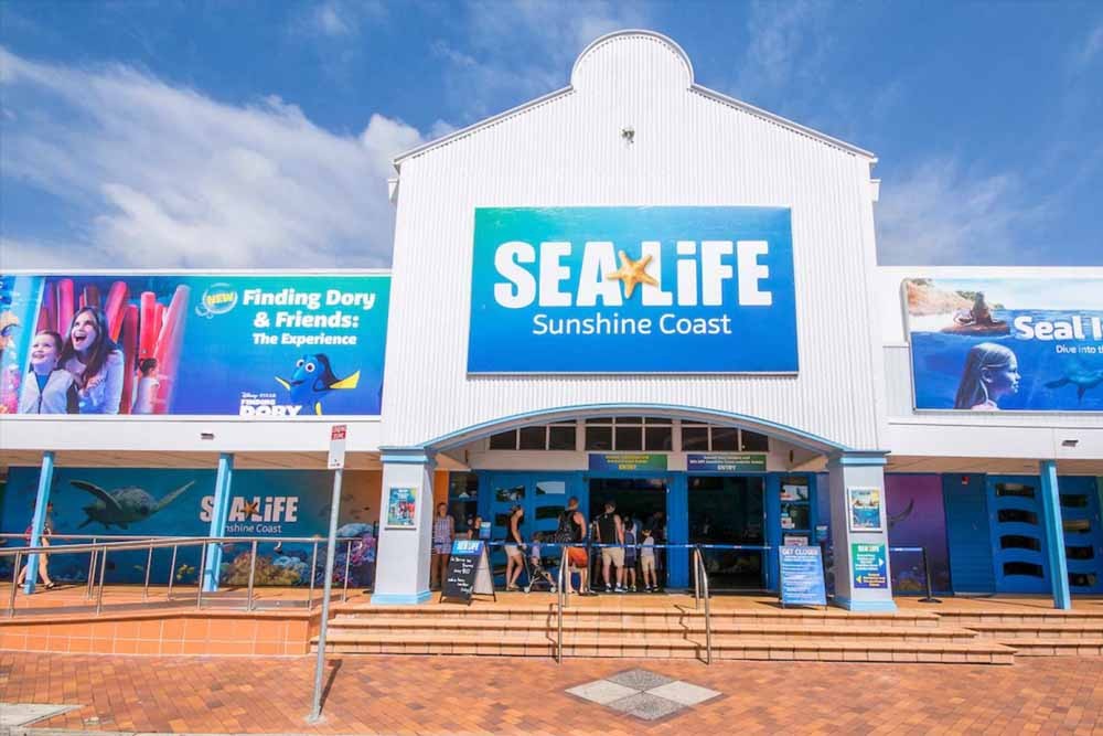 SEA LIFE Sunshine Coast Aquarium E-Tickets - Offer and Deals - JTR Holidays