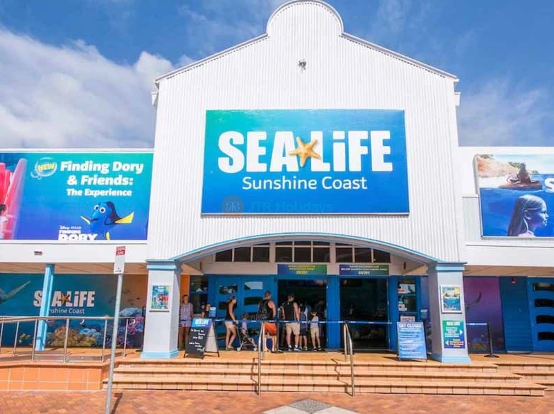 SEA LIFE Sunshine Coast Aquarium - Image 8 of 10