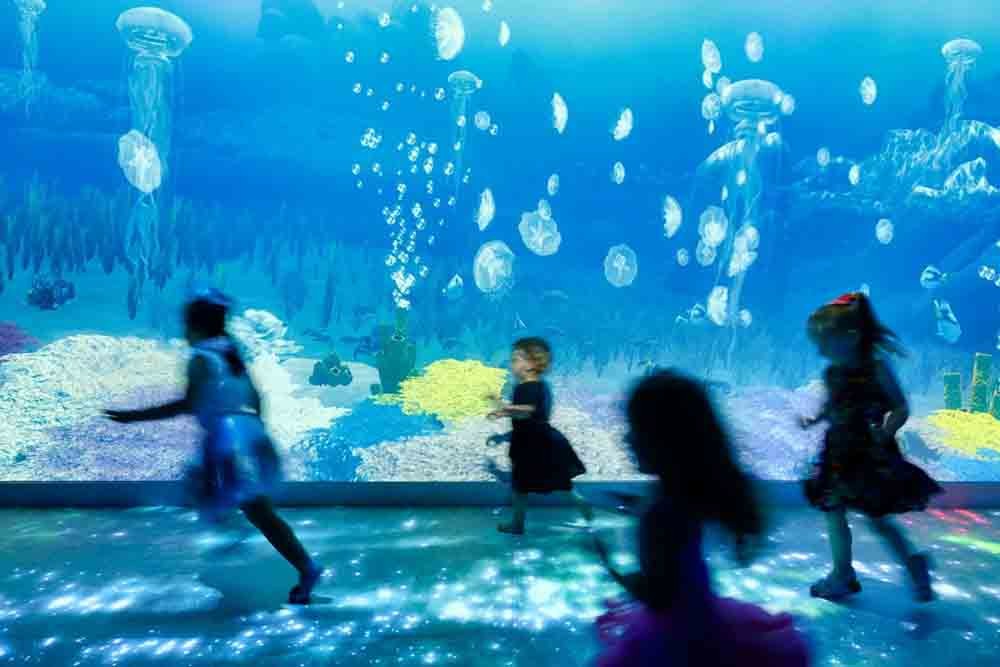 Sea Life Melbourne Aquarium - Book Your Ticket Online - JTR Holidays