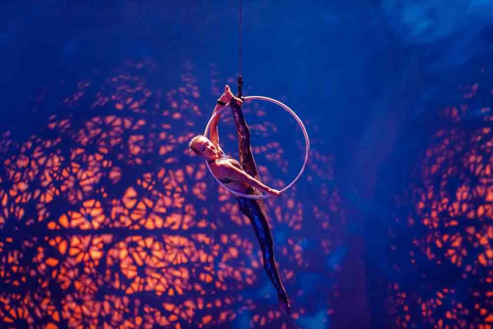 ディナー付きラ・ペルル・ショー - Image 4 of 8