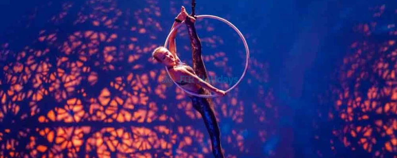 La Perle 演出及晚餐套餐 - 图片 4 的 5