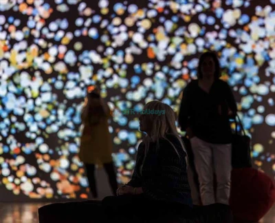 Theatre of Digital Art Dubai - ToDA is the very first & unique Theatre of Digital Art in the UAE which offers its visitors to experience art differently from a gallery visit. Its uniqueness lies in the modern, immersive way of discovering masterpieces of the world's most notable artists as well as contemporary digital artists. Theatre of Digital Art Dubai - Image 2 of 5