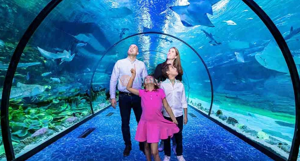 Acuario Nacional Abu Dabi - Imagen 1 de 5