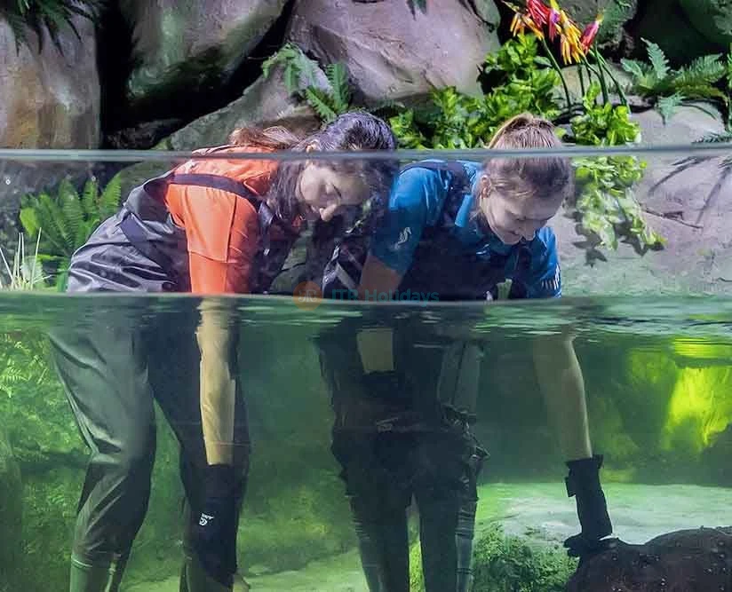 Acuario Nacional Abu Dabi - Image 2 of 8