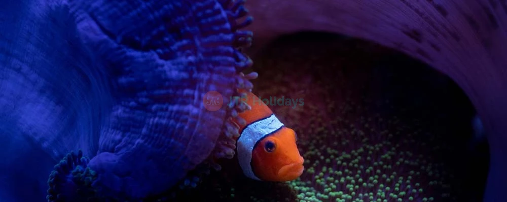 Acuario Nacional Abu Dabi - Imagen 3 de 5