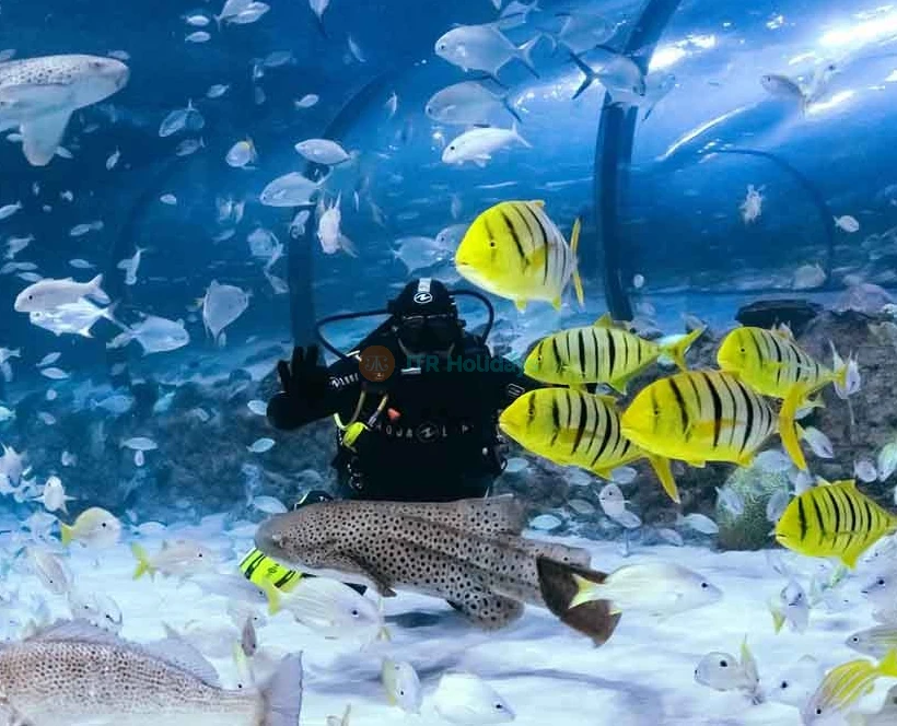 National Aquarium Abu Dhabi – Aquarium Tickets and Offer  - JTR Holidays - Image 5 of 5