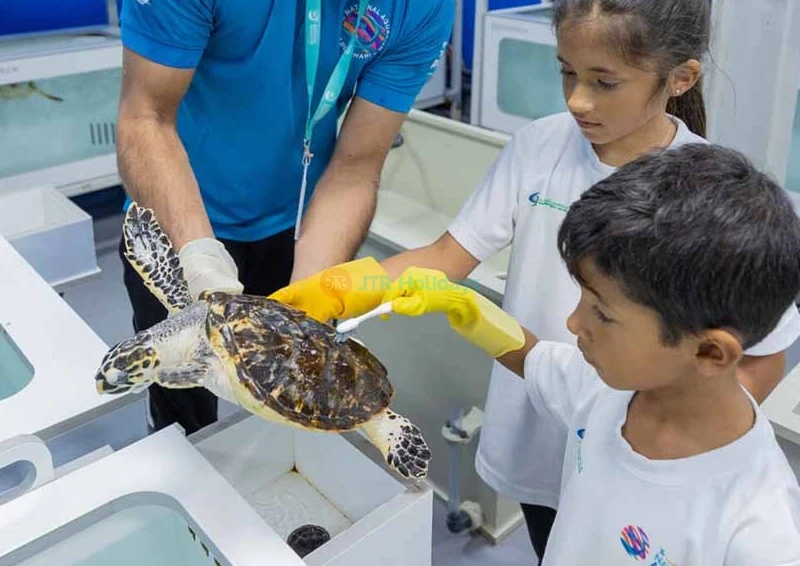 Acuario Nacional Abu Dabi - Image 8 of 8