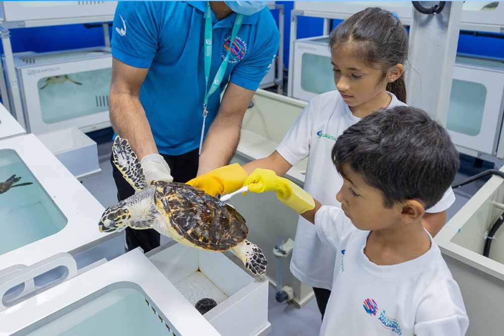 National Aquarium Abu Dhabi - Image 8 of 8