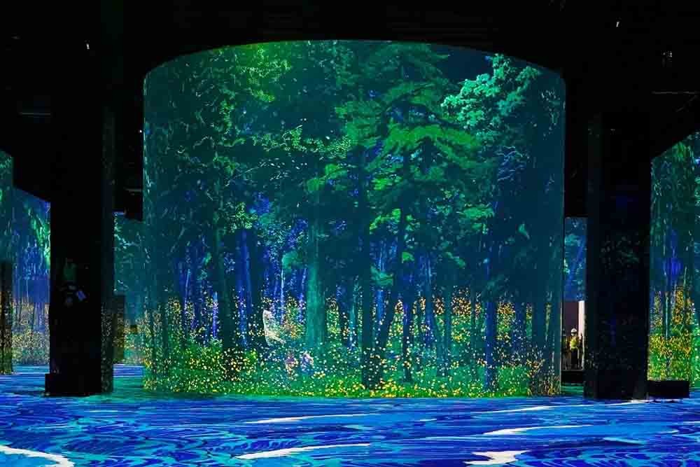 Infinity des Lumieres Dubai - Infinity des Lumières è un'esperienza culturale inclusiva, immersiva e unica nel suo genere che utilizza tecnologia digitale all'avanguardia per trasformare il modo in cui percepiamo, comprendiamo e sentiamo l'arte. Cambiando il modo tradizionale di presentare, vedere e godere l'arte, questo incredibile spazio e le mostre ispiratrici parlano universalmente a diversi pubblici di tutte le età e background culturali, promuovendo un approccio visionario, aperto e democratico al concetto di spazio artistico. Infinity des Lumieres Dubai - Immagine 5 di 5