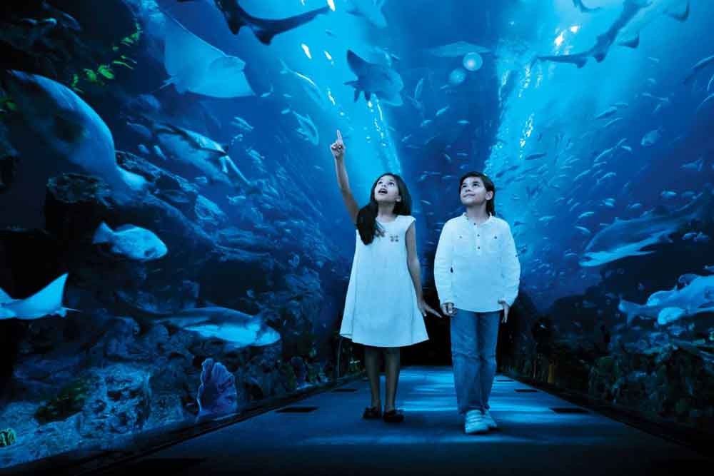 Ski Dubai + Dubai Aquarium Combo: Snowy Thrills and Aquatic Wonders - JTR Holidays - Imagen 3 de 5