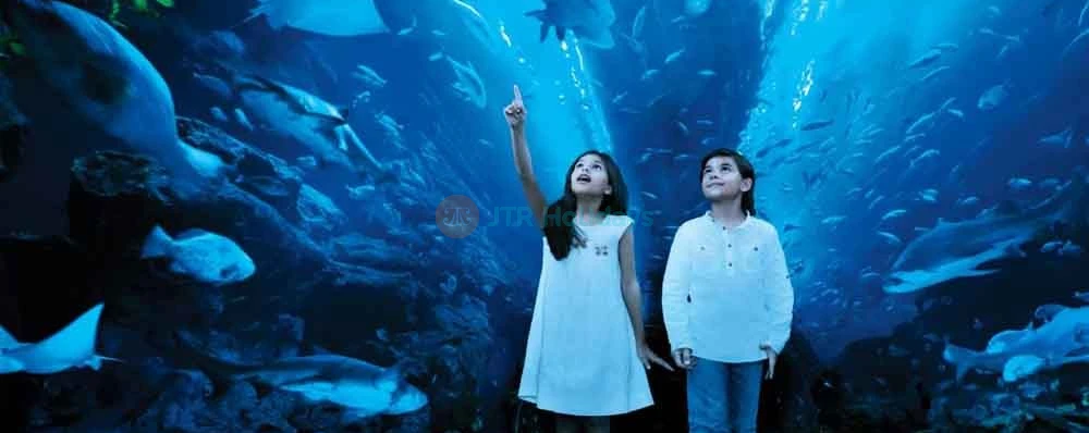 Ski Dubai + Dubai Aquarium Combo: Snowy Thrills and Aquatic Wonders - JTR Holidays - Image 3 of 11