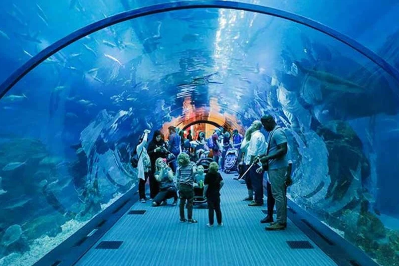 Ski Dubai + Dubai Aquarium Combo: Snowy Thrills and Aquatic Wonders - JTR Holidays - Image 6 of 11
