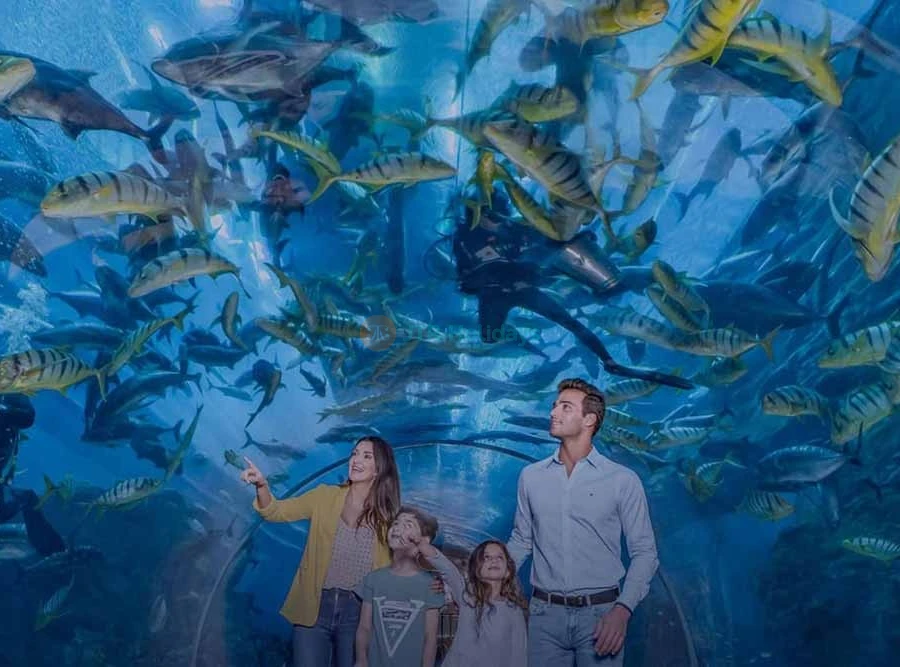 Ski Dubai + Dubai Aquarium Combo: Snowy Thrills and Aquatic Wonders - JTR Holidays - Image 7 of 11