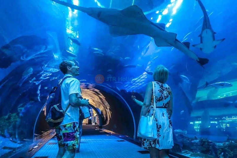 Ski Dubai + Dubai Aquarium Combo: Snowy Thrills and Aquatic Wonders - JTR Holidays - Image 8 of 11