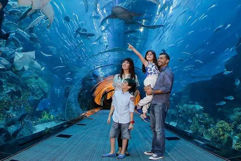 Ski Dubai + Dubai Aquarium Combo: Snowy Thrills and Aquatic Wonders - JTR Holidays - Image 9 of 11