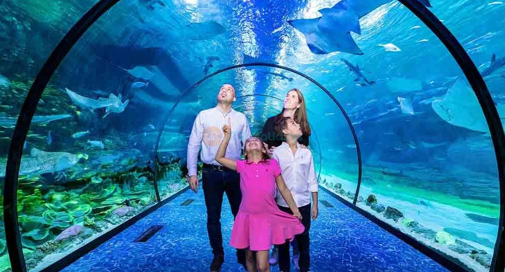 Abu Dhabi Combo Deal: National Aquarium and SeaWorld - JTR Holidays - Image 1 of 5