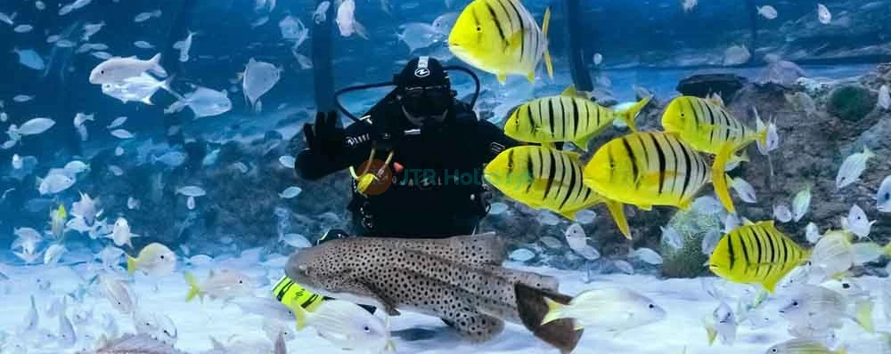 Abu Dhabi Combo Deal: National Aquarium and SeaWorld - JTR Holidays - Image 3 of 5