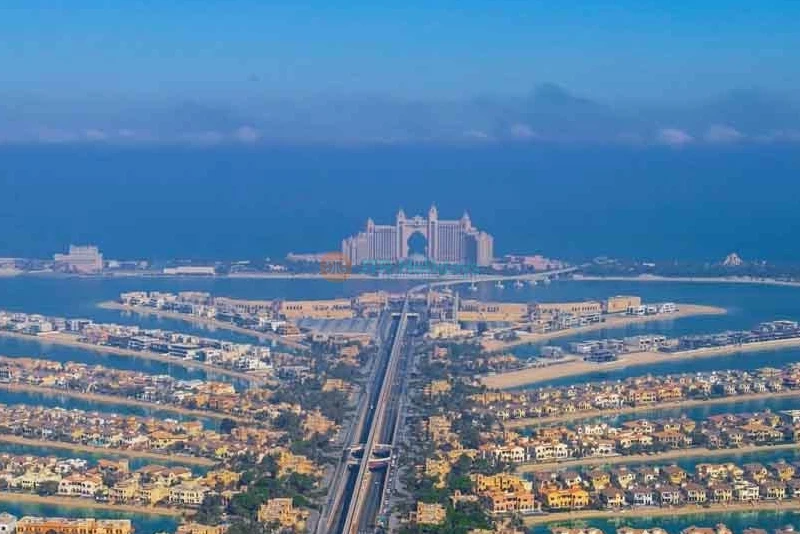 Unlock Excitement: IMG General Admission + Free View at the Palm Ticket Combo Deal - Image 7 of 8