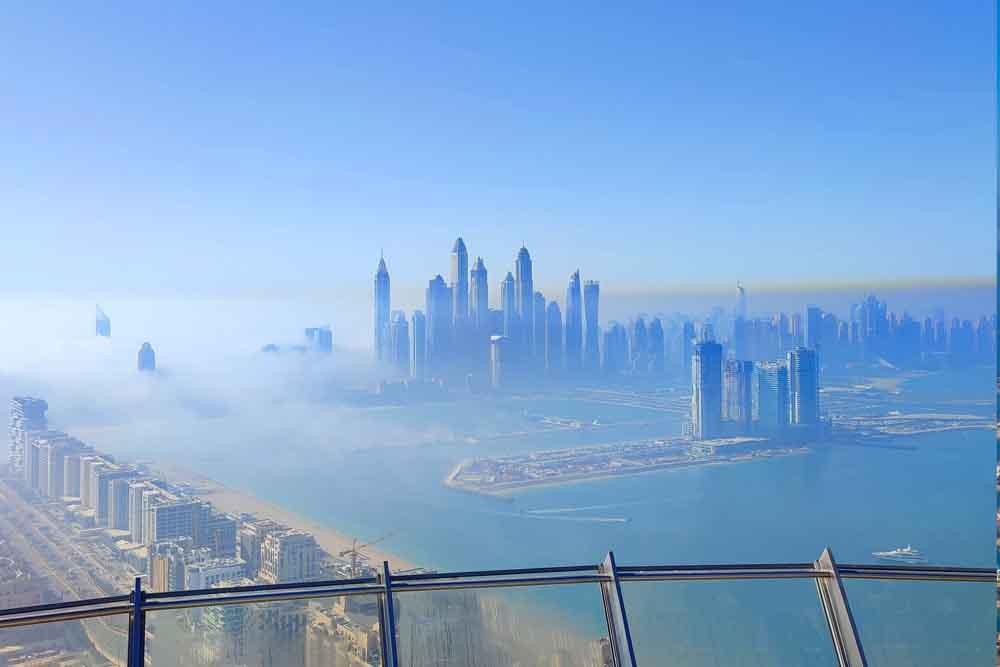 Unlock Excitement: IMG General Admission + Free View at the Palm Ticket Combo Deal - Image 8 of 8